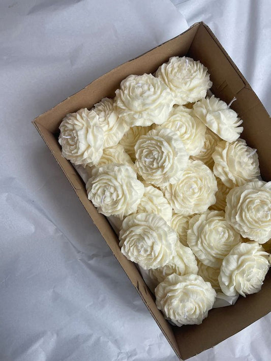 Ceara de soia matrite KeraSoy 4120 Pillar