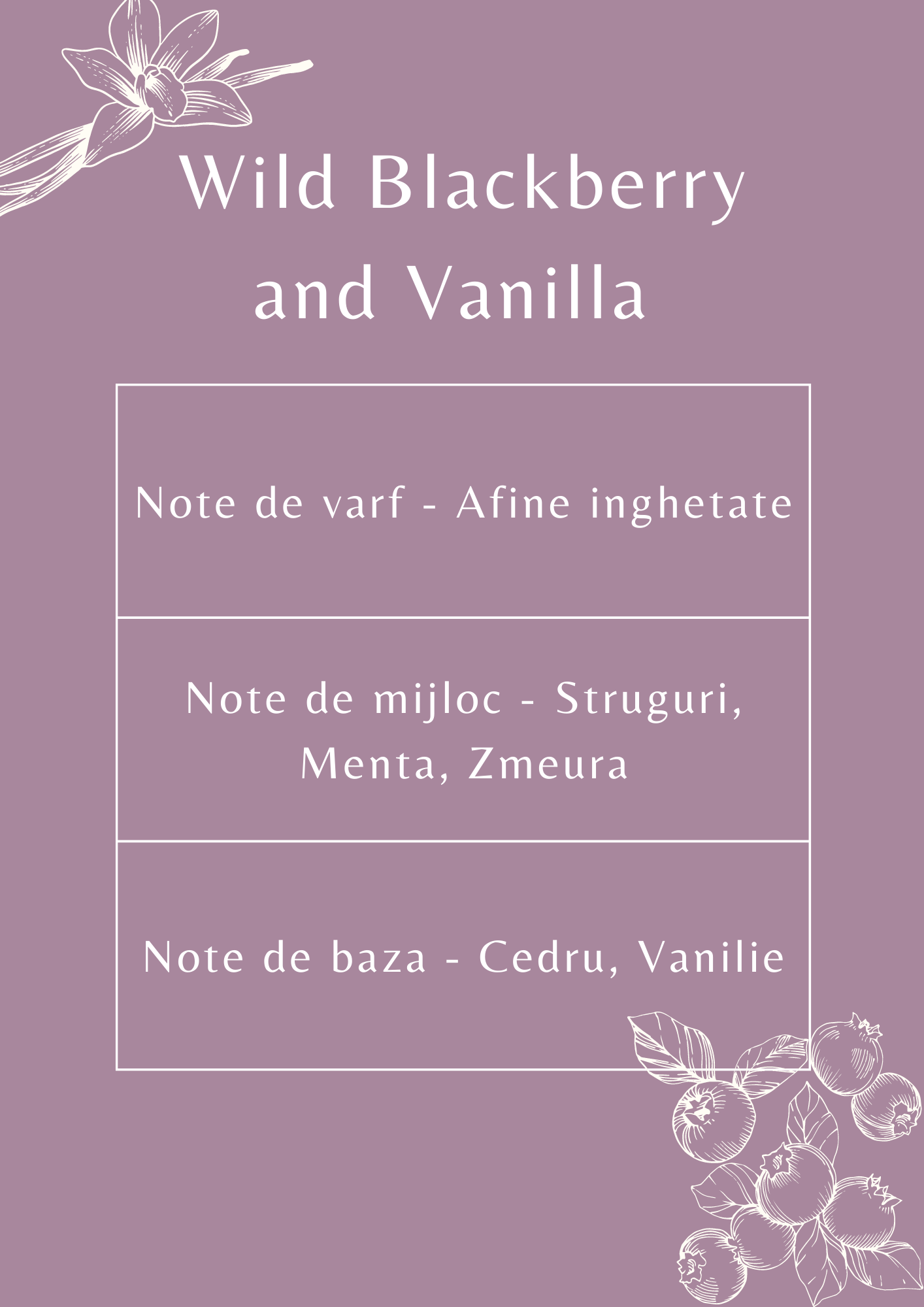 Ulei parfumat Wild Blackberry and Vanilla