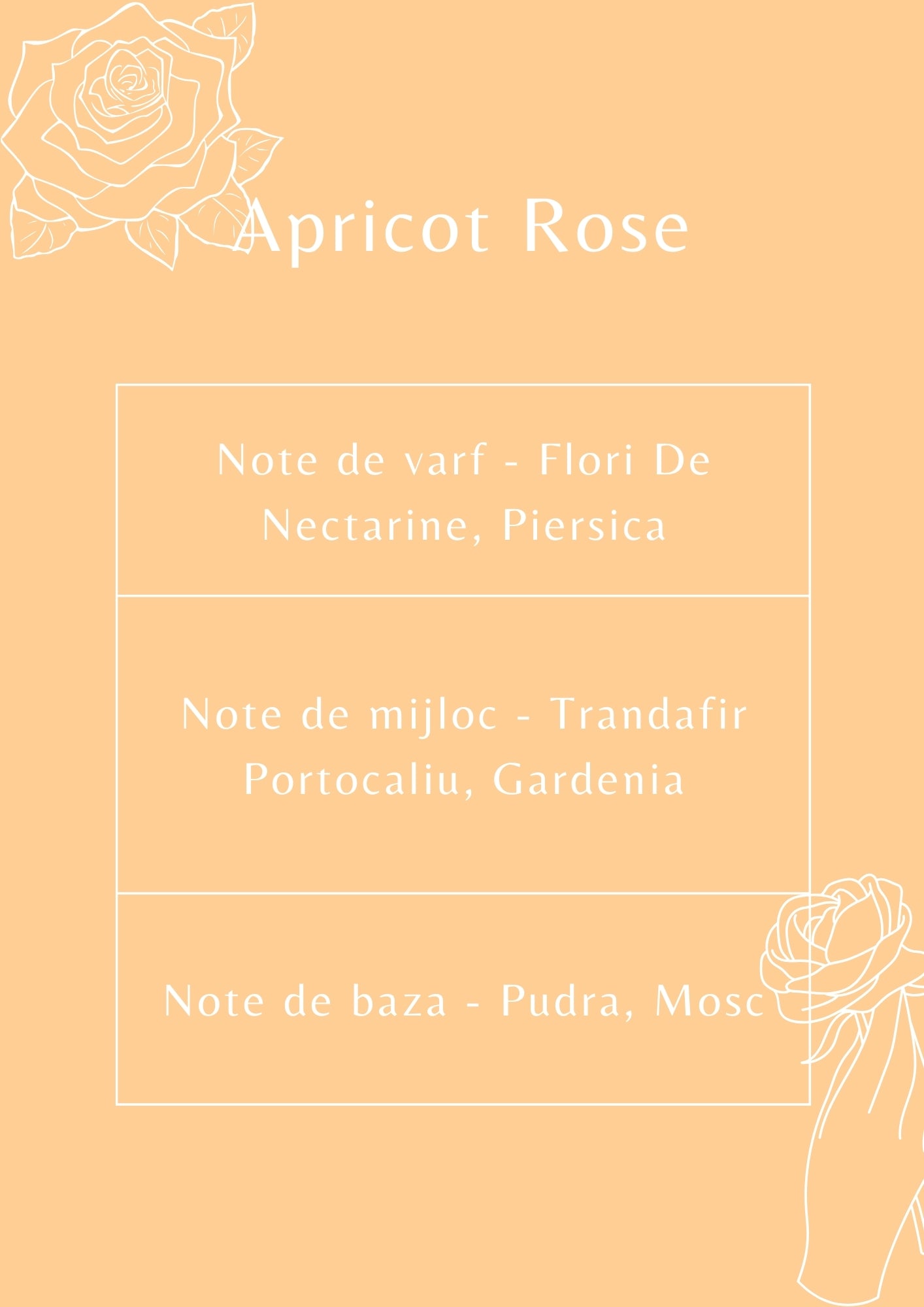 Ulei Parfumat Apricot Rose