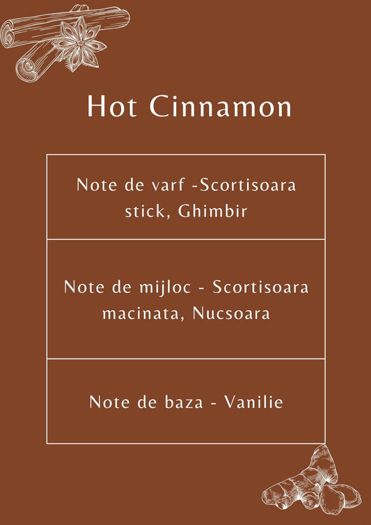 hot cinnamon scortisoara ulei parfumat lumanari ceara soia supply lab parfum iarna ceara parfumata