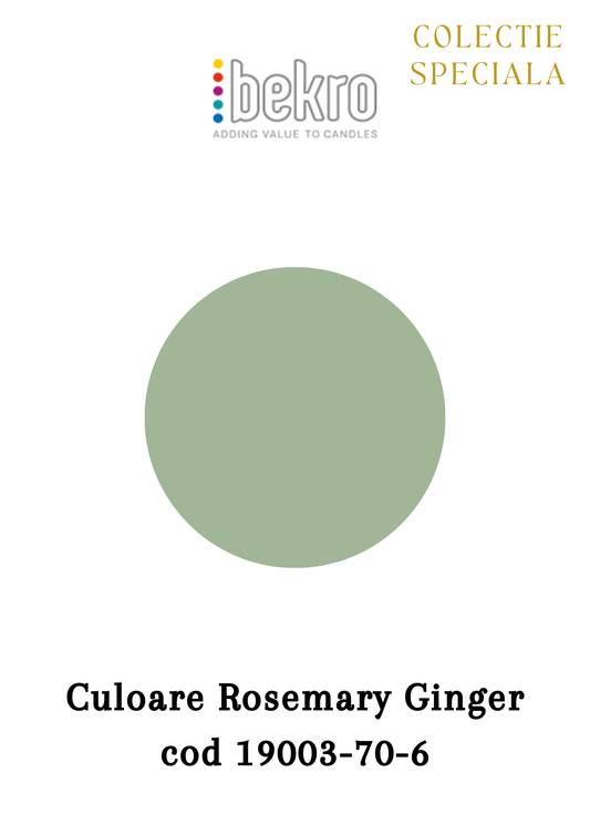 Colorant ceara Bekro Rosemary Ginger cod 19003-70-6.
